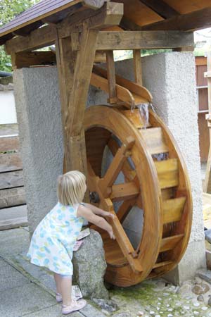_DSC4806Kopie.jpg